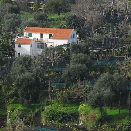 Azienda Agricola Veniero Piano di Sorrento Luaran gambar