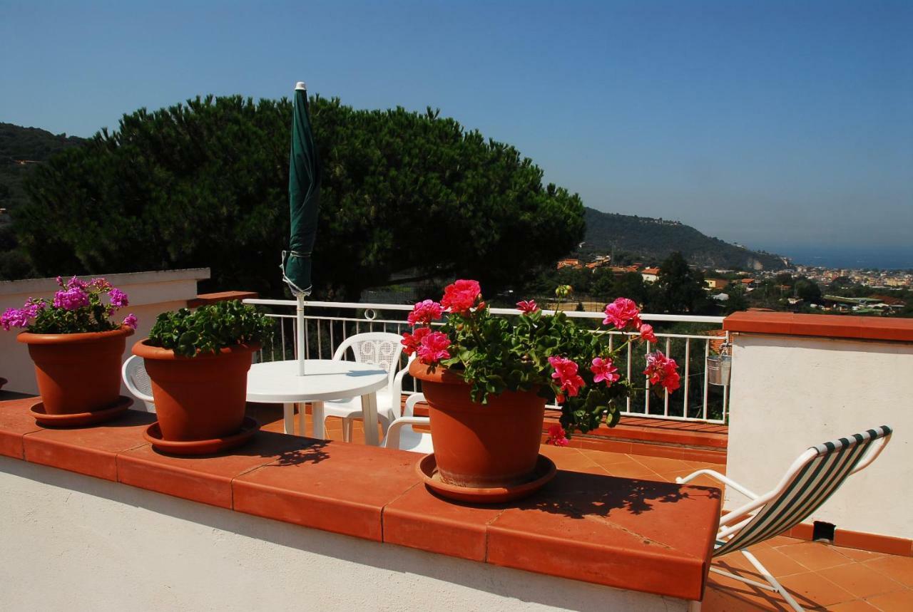 Azienda Agricola Veniero Piano di Sorrento Luaran gambar