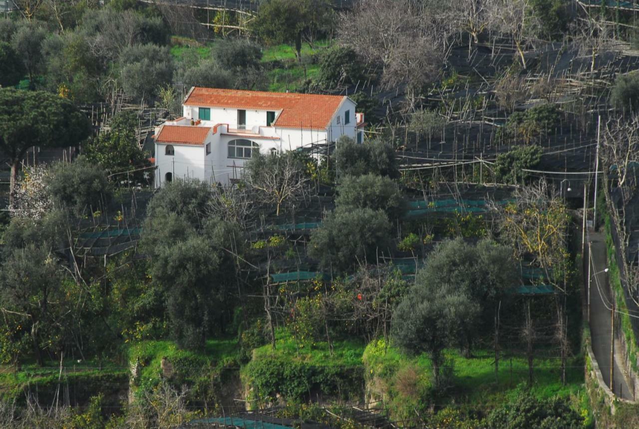 Azienda Agricola Veniero Piano di Sorrento Luaran gambar